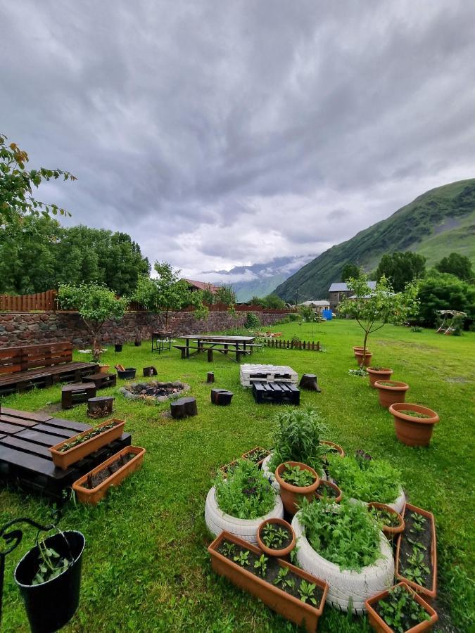 ---Allegria House--- Kazbegi Esterno foto