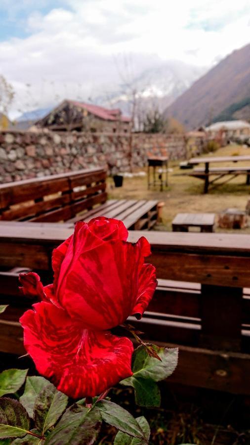 ---Allegria House--- Kazbegi Esterno foto