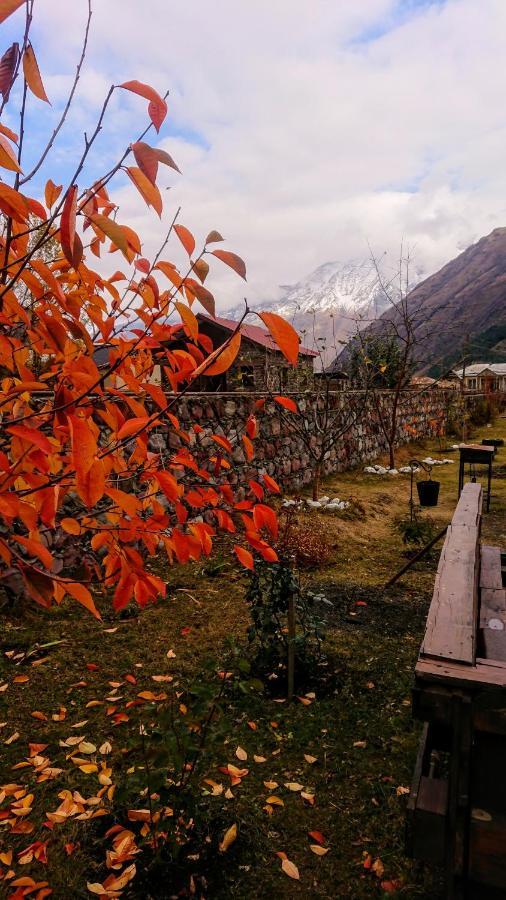 ---Allegria House--- Kazbegi Esterno foto