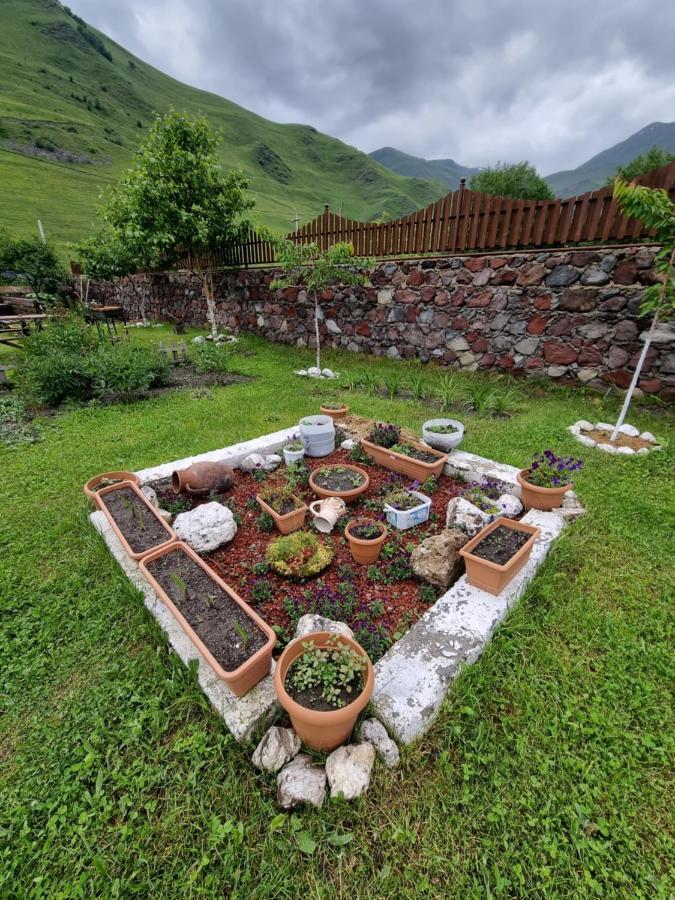 ---Allegria House--- Kazbegi Esterno foto