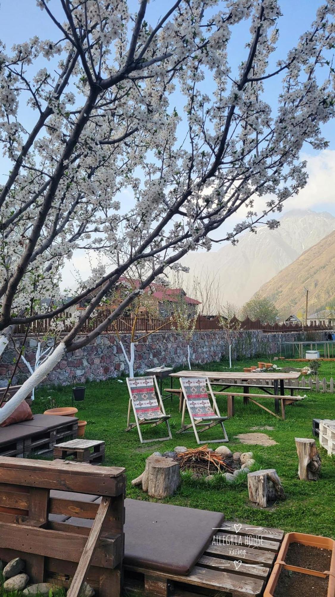 ---Allegria House--- Kazbegi Esterno foto