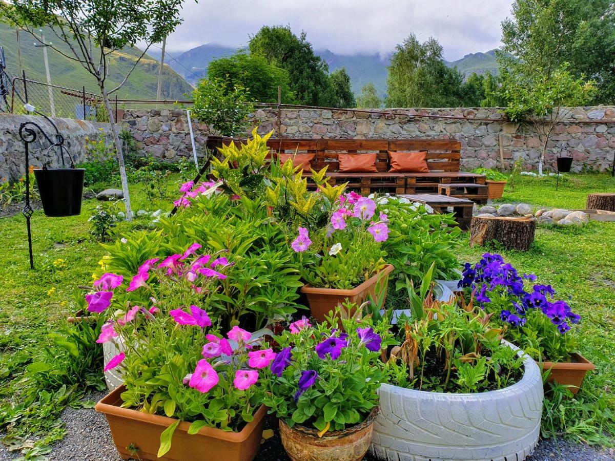 ---Allegria House--- Kazbegi Esterno foto